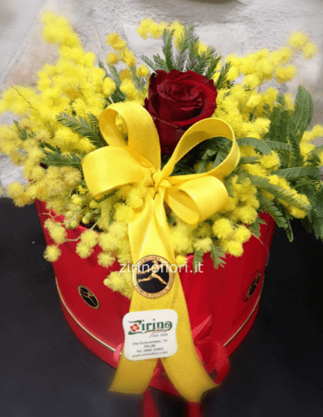 scatola rosa rossa con mimosa