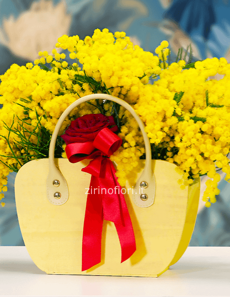 Mimosa in composizione