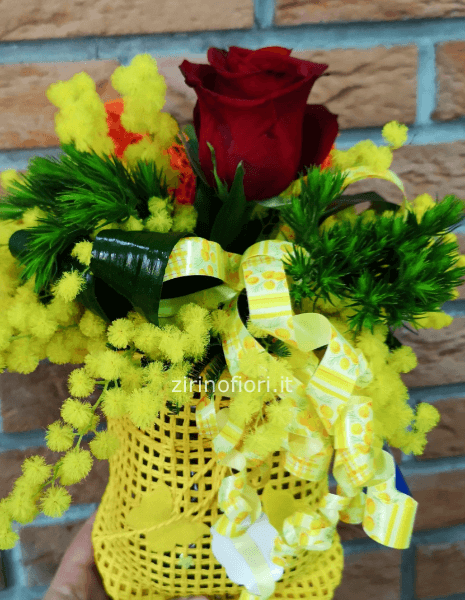 Mimosa e rosa 🌹 rossa